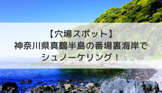 【番場裏海岸】神奈川県真鶴の穴場スポットでシュノーケリング！（中級者向け）